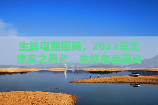 生鲜电商困局，2022年无赢家之思考，生鲜电商困局，2022年行业挑战与无解之局，生鲜电商困局，2022年行业挑战与无解之局