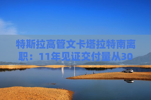 特斯拉高管文卡塔拉特南离职：11年见证交付量从3000到180万，市值飙升至7000亿  第1张