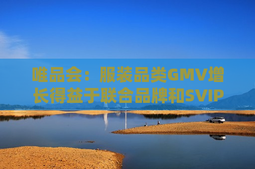 唯品会：服装品类GMV增长得益于联合品牌和SVIP会员的韧性，公司毛利率提升至23.6%  第1张