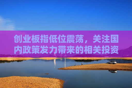 创业板指低位震荡，关注国内政策发力带来的相关投资机会
