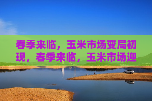 春季来临，玉米市场变局初现，春季来临，玉米市场迎来新变局，春季玉米市场迎来新变局