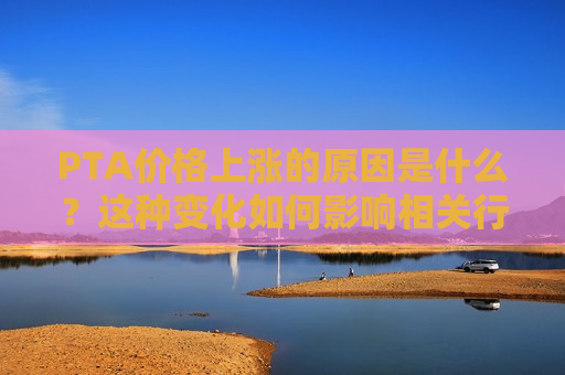PTA价格上涨的原因是什么？这种变化如何影响相关行业？