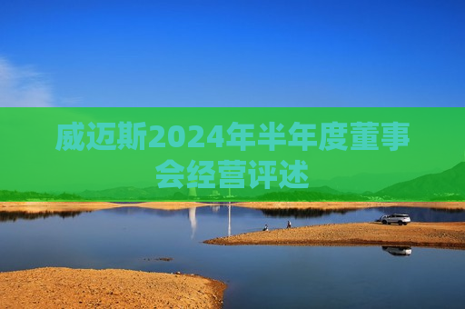 威迈斯2024年半年度董事会经营评述