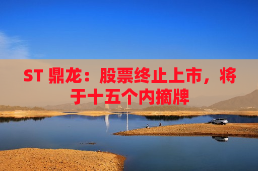 ST 鼎龙：股票终止上市，将于十五个内摘牌  第1张