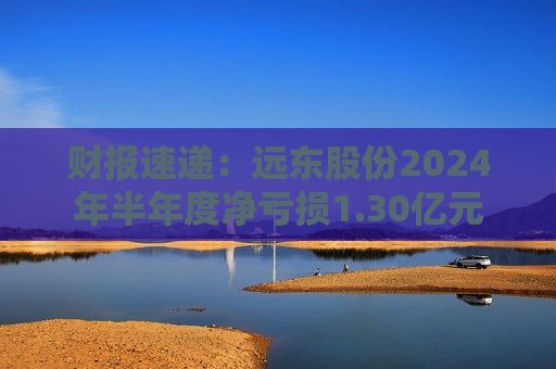 财报速递：远东股份2024年半年度净亏损1.30亿元  第1张