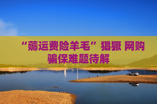 “薅运费险羊毛”猖獗  *** 骗保难题待解