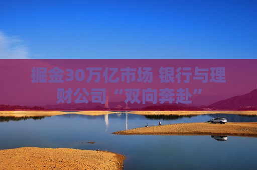 掘金30万亿市场 银行与理财公司“双向奔赴”  第1张
