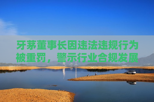 牙茅董事长因违法违规行为被重罚，警示行业合规发展，“牙茅董事长违规被重罚，警醒行业合规发展”，牙茅董事长违规被重罚，警醒行业合规发展重要性