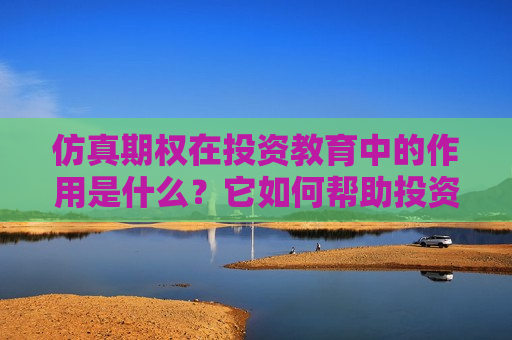 仿真期权在投资教育中的作用是什么？它如何帮助投资者学习交易策略？