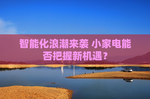 智能化浪潮来袭 小家电能否把握新机遇？