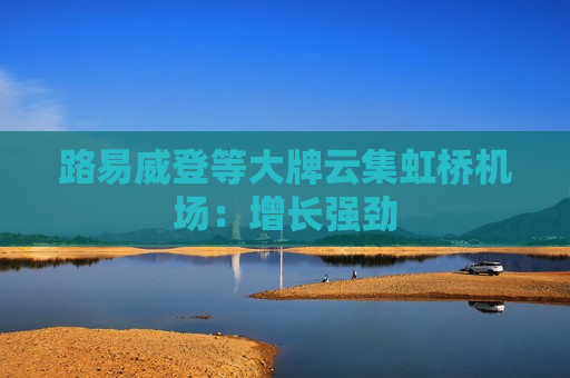 路易威登等大牌云集虹桥机场：增长强劲