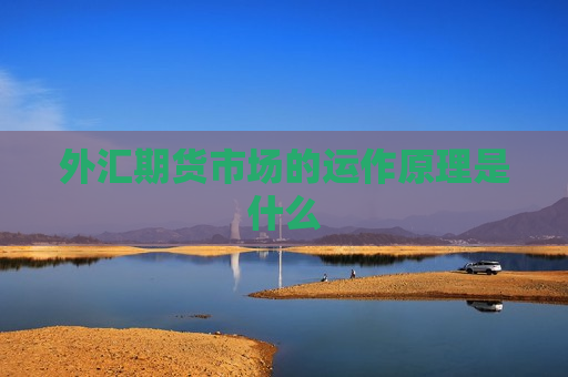 外汇期货市场的运作原理是什么