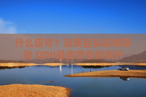什么信号？消费巨头集体异动 QDII基金重仓股飙升
