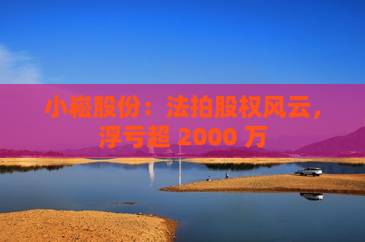 小崧股份:法拍股权风云,浮亏超 2000 万 第1张 小崧股份:法拍股权风云,浮亏超 2000 万 第1张