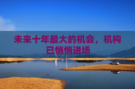 未来十年更大的机会，机构已悄悄进场