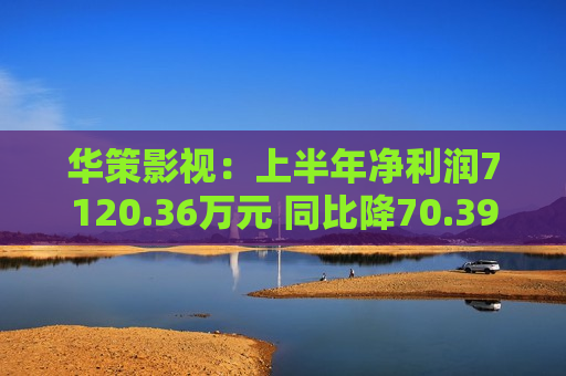 华策影视：上半年净利润7120.36万元 同比降70.39%