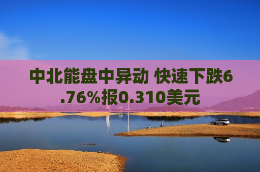 中北能盘中异动 快速下跌6.76%报0.310美元