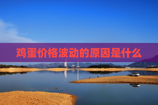 鸡蛋价格波动的原因是什么