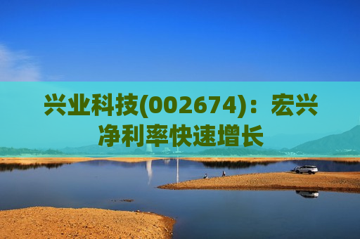 兴业科技(002674)：宏兴净利率快速增长