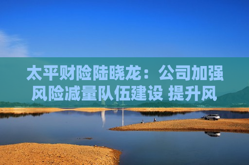 太平财险陆晓龙：公司加强风险减量队伍建设 提升风险减量管理绩效