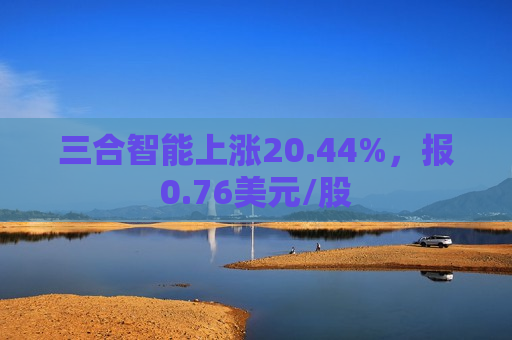 三合智能上涨20.44%，报0.76美元/股
