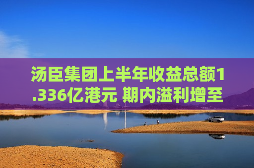 汤臣集团上半年收益总额1.336亿港元 期内溢利增至1.026亿港元  第1张
