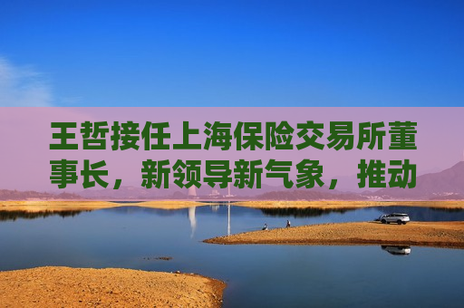 王哲接任上海保险交易所董事长，新领导新气象，推动保险业高质量发展，王哲接任上海保险交易所董事长，引领保险业高质量发展新篇章，王哲接任上海保险交易所董事长，引领保险业高质量发展新篇章  第1张