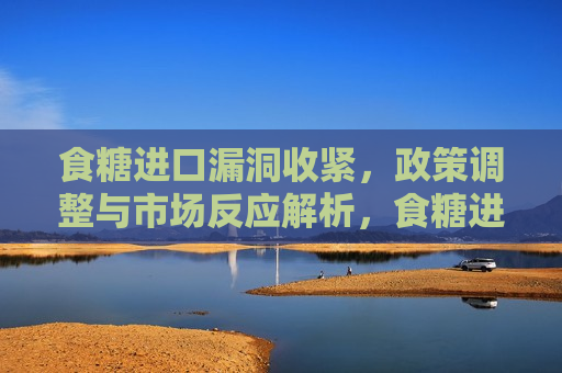食糖进口漏洞收紧，政策调整与市场反应解析，食糖进口政策调整，市场漏洞收紧与反应解析，食糖进口政策调整下的市场反应与漏洞解析