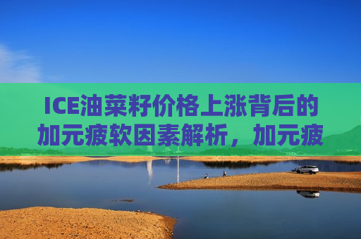 ICE油菜籽价格上涨背后的加元疲软因素解析，加元疲软导致ICE油菜籽价格上涨，加元疲软致ICE油菜籽价格上涨