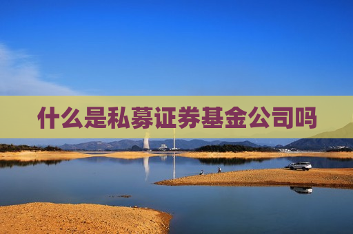 什么是私募证券基金公司吗