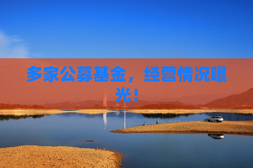 多家公募基金，经营情况曝光！  第1张