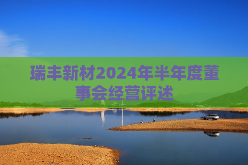 瑞丰新材2024年半年度董事会经营评述  第1张