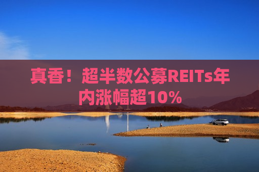 真香！超半数公募REITs年内涨幅超10%
