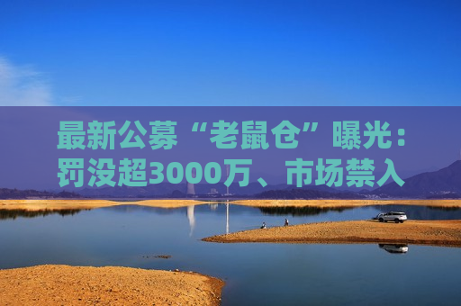 最新公募“老鼠仓”曝光：罚没超3000万、市场禁入十年