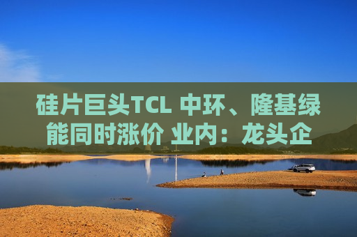 硅片巨头TCL 中环、隆基绿能同时涨价 业内：龙头企业应继续控制生产负荷，让价格回归理性