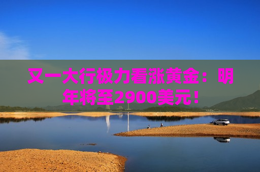 又一大行极力看涨黄金：明年将至2900美元！