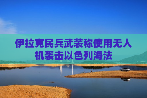 伊拉克民兵武装称使用无人机袭击以色列海法