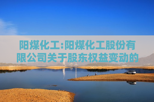 阳煤化工:阳煤化工股份有限公司关于股东权益变动的提示性公告