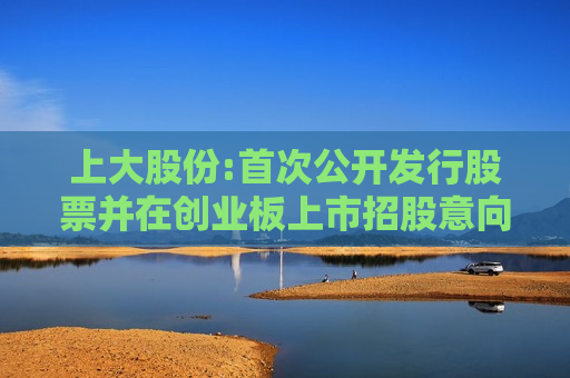 上大股份:首次公开发行股票并在创业板上市招股意向书