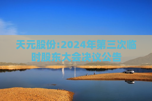 天元股份:2024年第三次临时股东大会决议公告