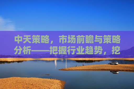 中天策略，市场前瞻与策略分析——把握行业趋势，挖掘投资机会，中天策略，市场前瞻与策略解析——捕捉行业机遇，挖掘投资机会