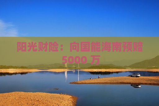 阳光财险：向国能海南预赔 5000 万
