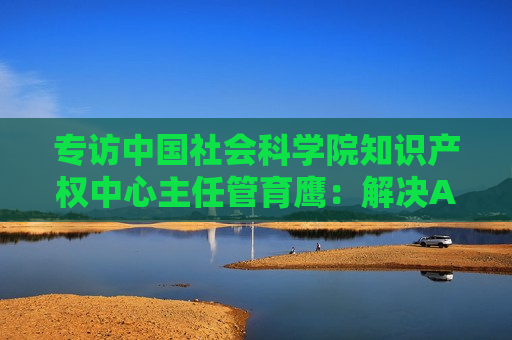 专访中国社会科学院知识产权中心主任管育鹰：解决AI著作权争议，可考虑设计喂料端的版权内容使用侵权例外规则