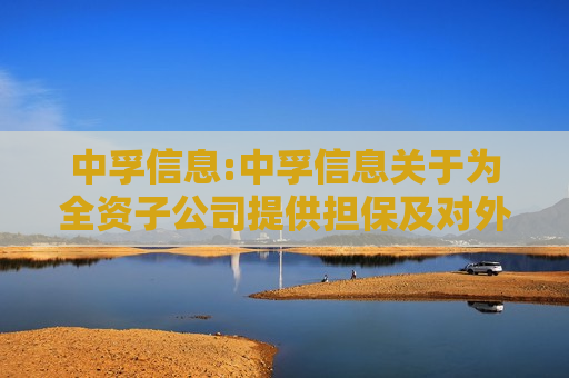 中孚信息:中孚信息关于为全资子公司提供担保及对外提供反担保的进展公告