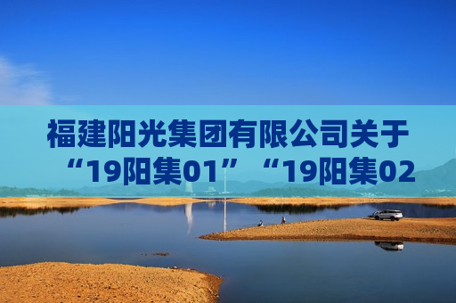 福建阳光集团有限公司关于“19阳集01”“19阳集02”与“19阳集03”违约处置进展公告  第1张