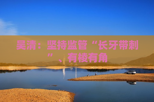 吴清：坚持监管“长牙带刺”、有棱有角