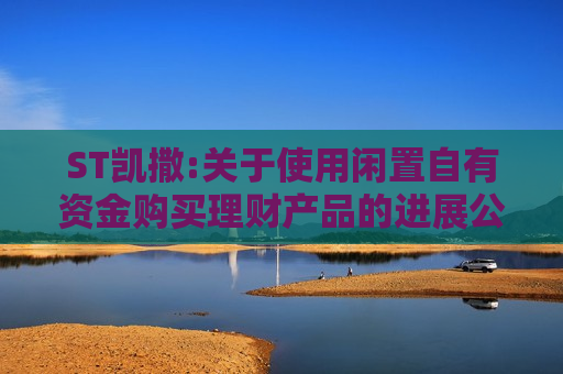 ST凯撒:关于使用闲置自有资金购买理财产品的进展公告