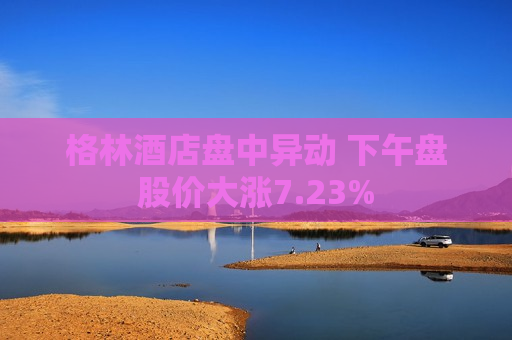 格林酒店盘中异动 下午盘股价大涨7.23%