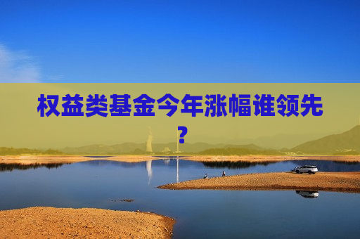 权益类基金今年涨幅谁领先？