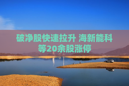 破净股快速拉升 海新能科等20余股涨停